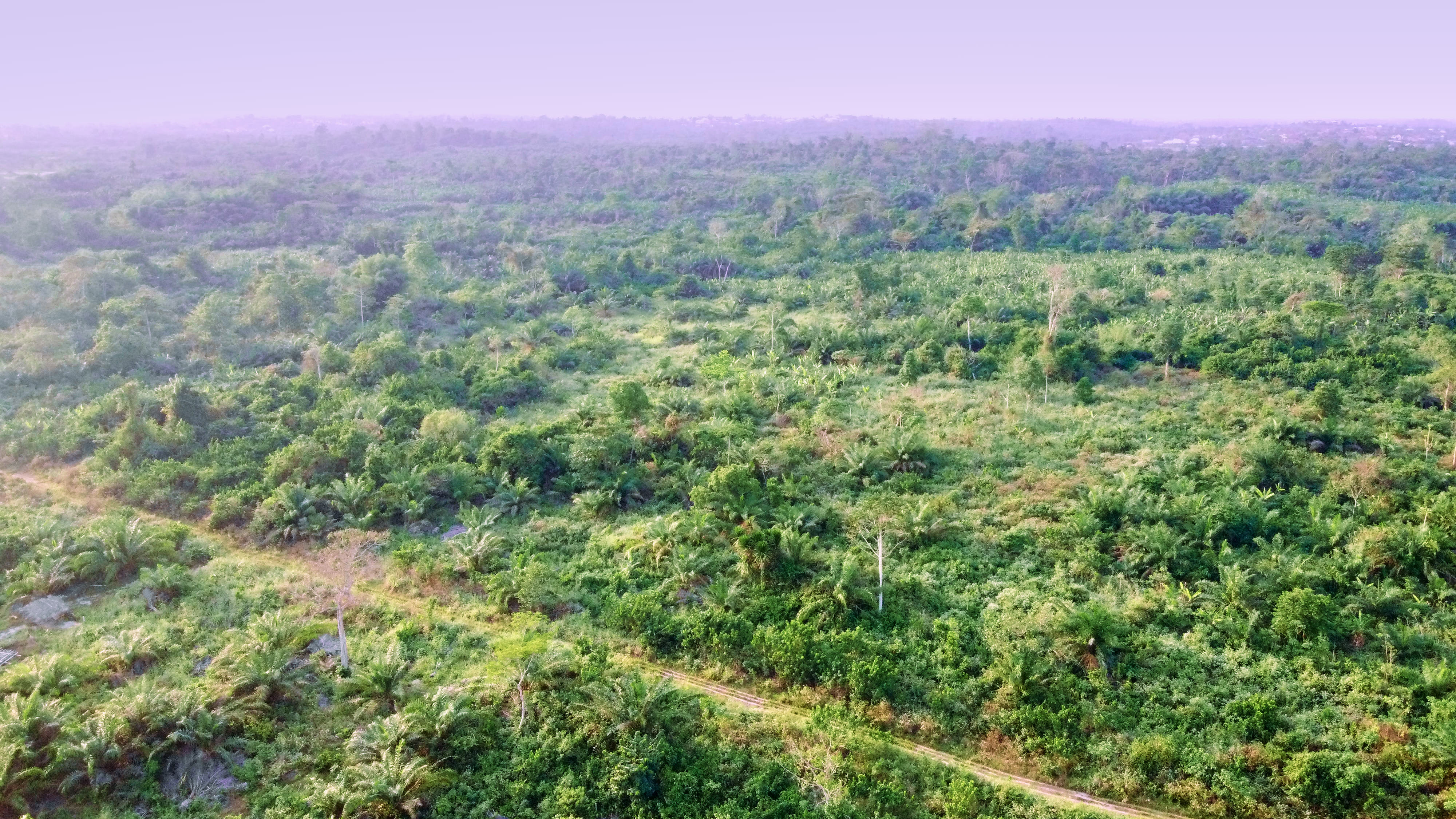 Aerial view of KokoPalm Estate land